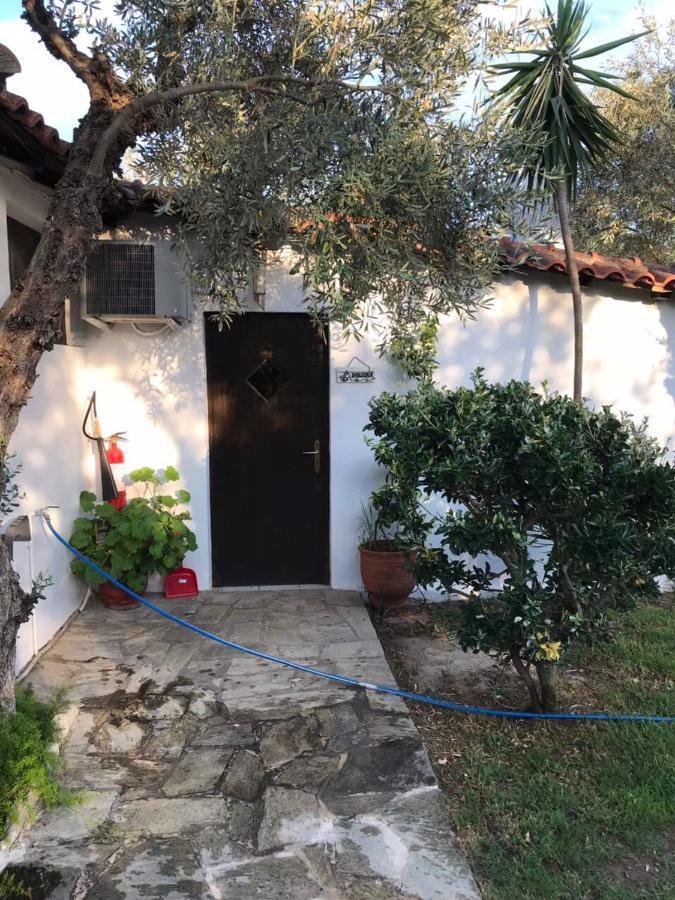 Oasis Aparthotel Skiathos Town Exterior photo