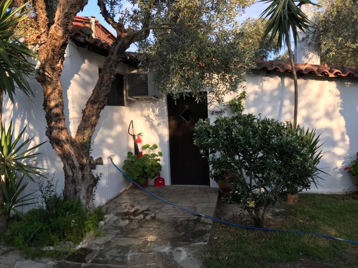 Oasis Aparthotel Skiathos Town Exterior photo